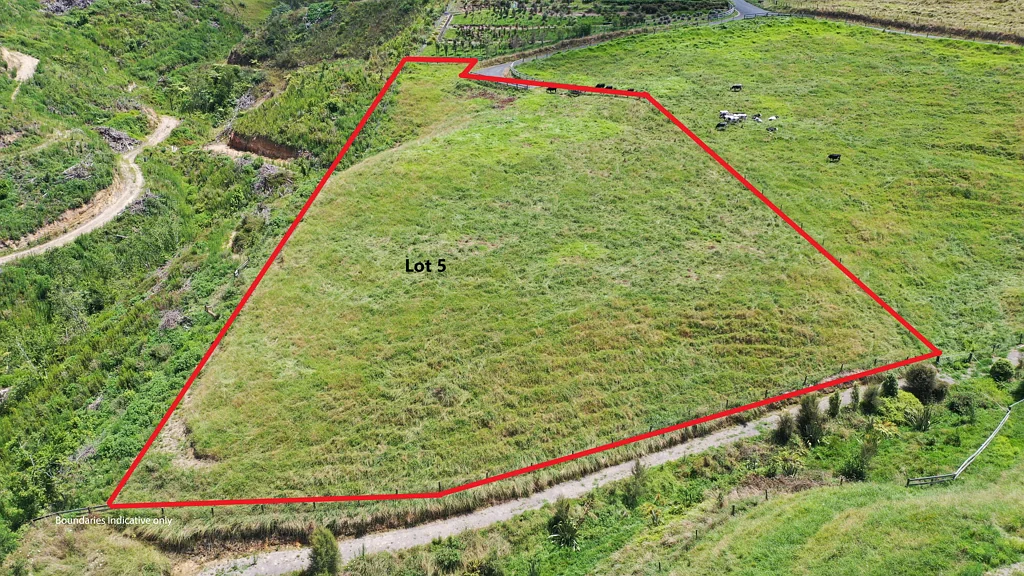 Te Puke  Rural lifestyle section