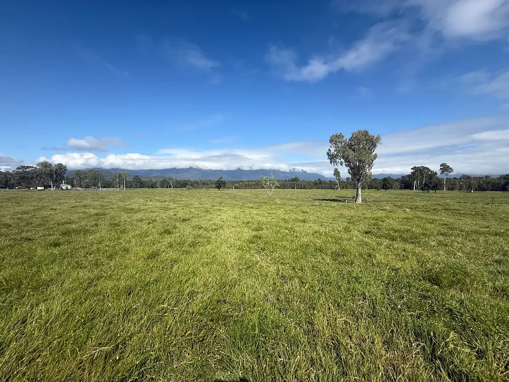 Ellerbeck  Lifestyle Cattle property near Cardwell with Eco-Tourism potential, Home, Sheds, Yards, Machinery & Equipment
