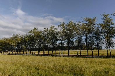  Springfield Farm, Yallingup, WA 6282, 0 slaapkamers, 0 badkamers, Section