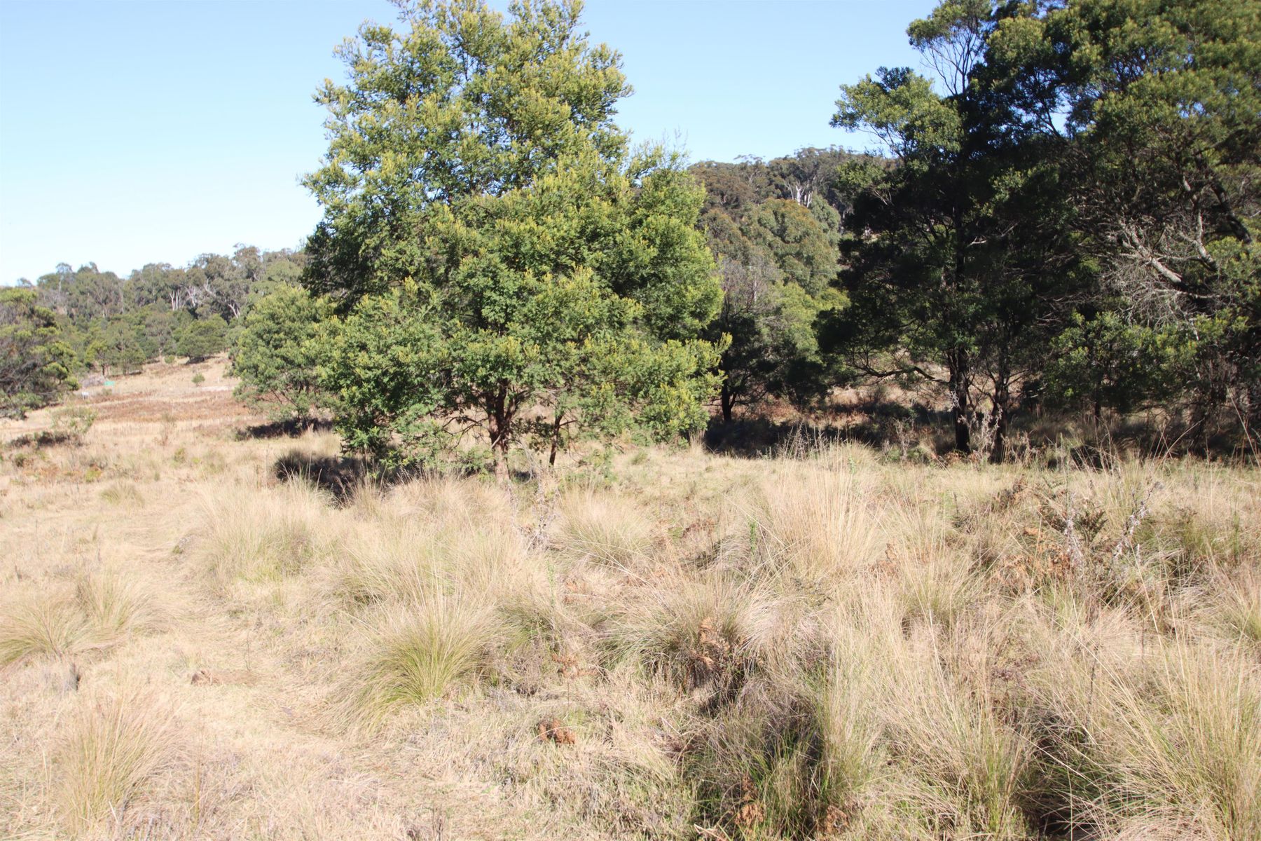 9 MOUNT MCKENZIE LOOKOUT RD, TENTERFIELD NSW 2372, 0 રૂમ, 0 બાથરૂમ, Section