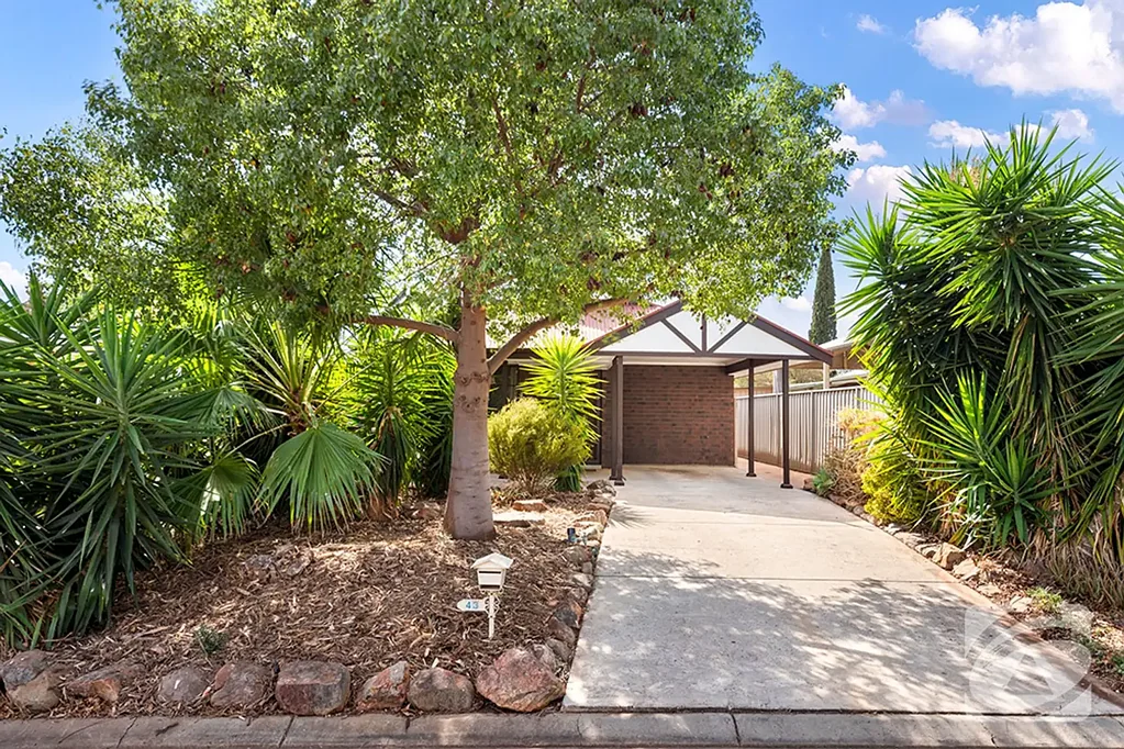 43 Magnolia Crescent, Craigmore, SA 5114