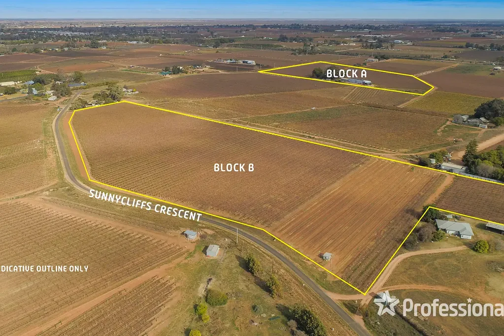 Red Cliffs  Sunnycliffs Table Grape Property - 31 Acres