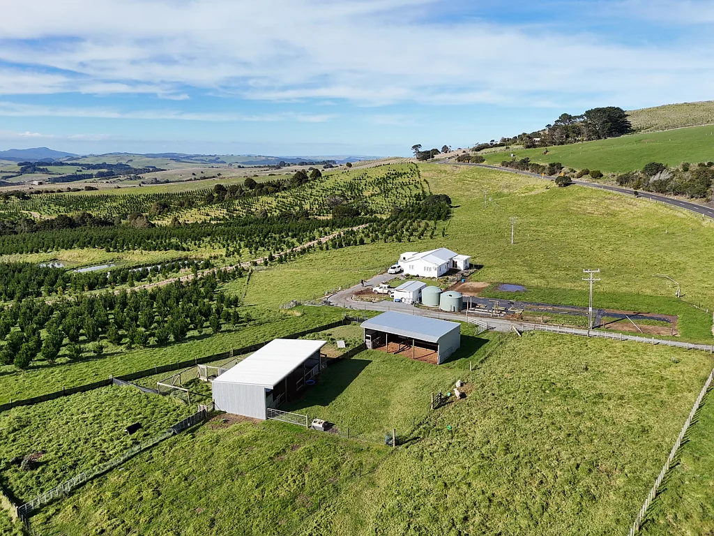 Dargaville  Become Self-Sufficient