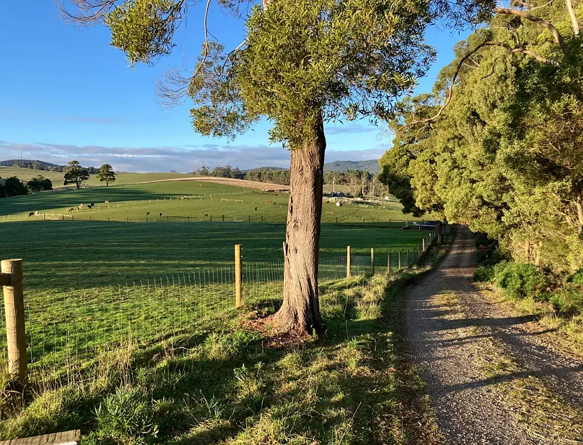 223 Pollards Road, Rocky Cape, TAS 7321, 0 Kuwarto, 0 Banyo, Lifestyle Property