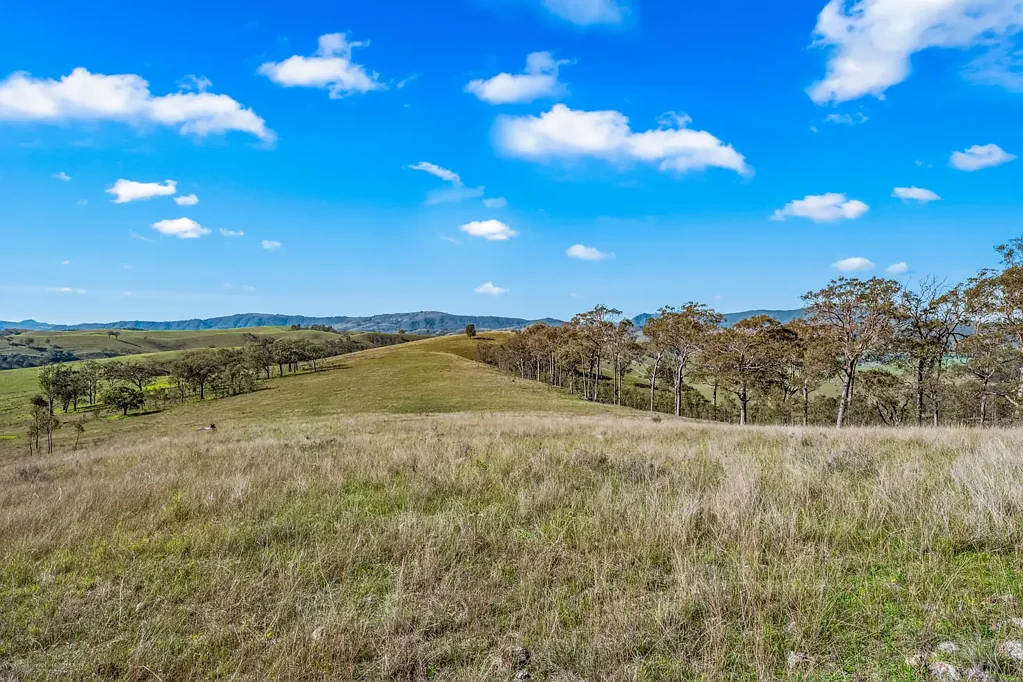 Singleton Secluded Acreage With Expansive Views
