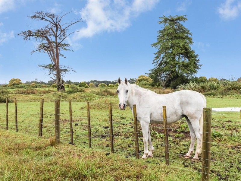 201 Opaheke Road, Opaheke, Auckland - Papakura, 4 ਕਮਰੇ, 0 ਬਾਥਰੂਮ