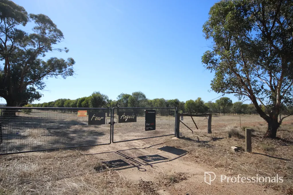 Arthur River Prime Land Available Now for off grid living