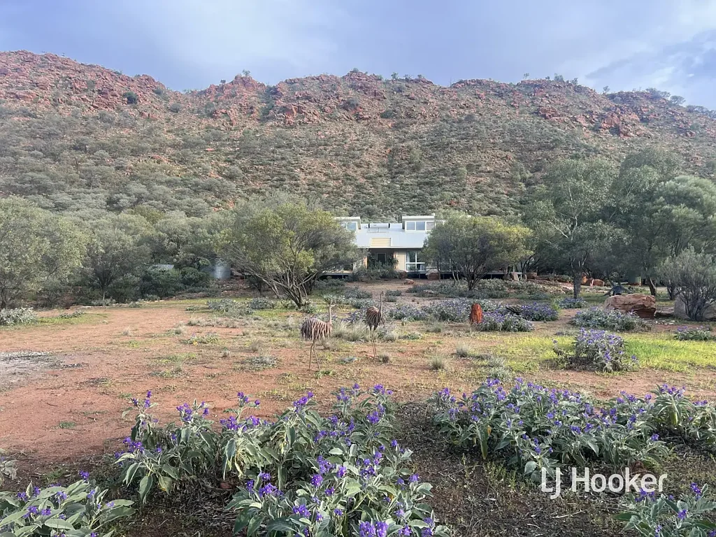 White Gums  Off Grid – 259 Glorious Acres