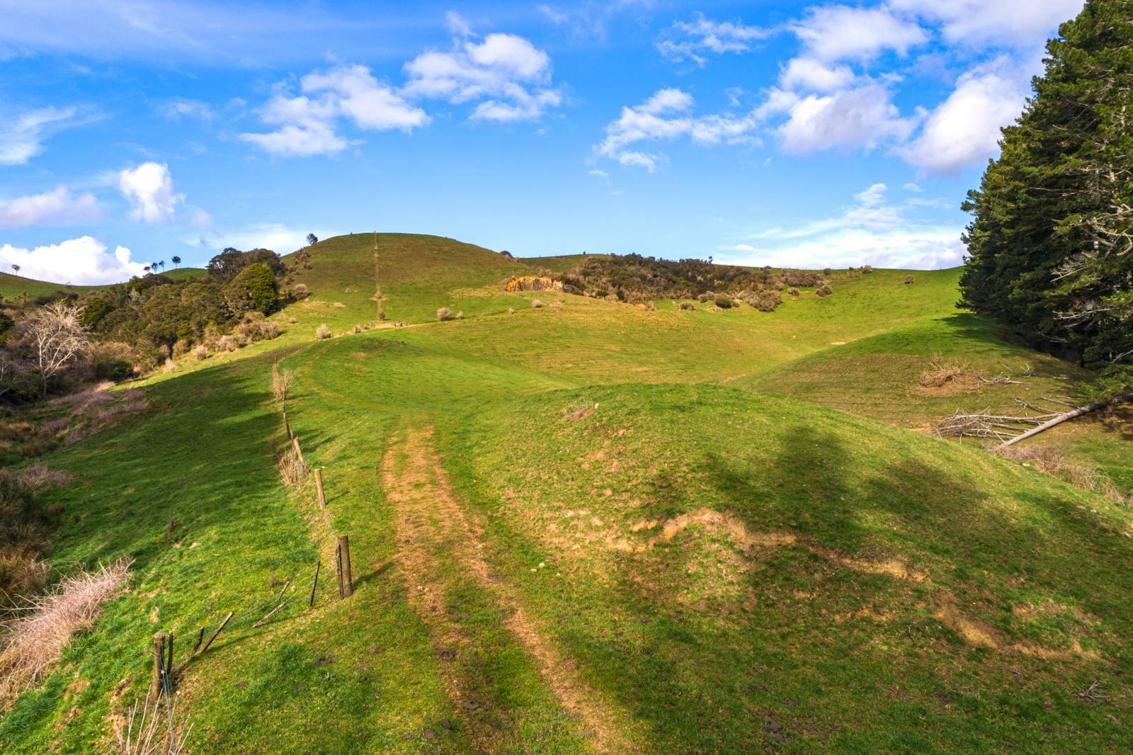 Ararimu Road, Hunua, Auckland - Franklin, 0部屋, 1バスルーム