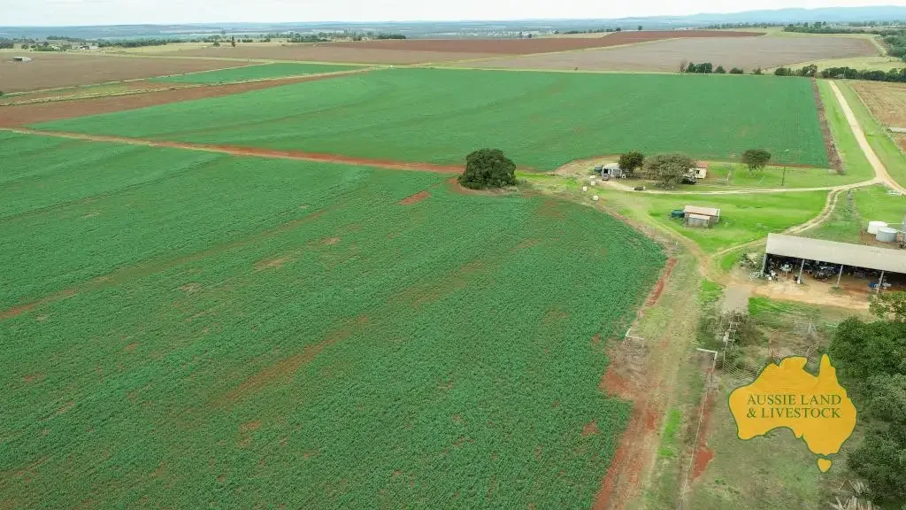 Benair Prime Volcanic Red Soils – Cropping, Cattle & Country Lifestyle - reduced price.
