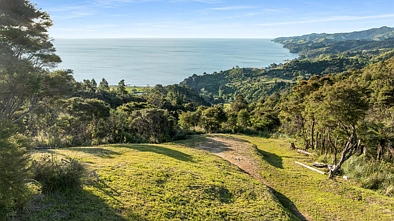 98 Tapu Rise Heights, Tapu, Thames-Coromandel, Waikato, 0 Bedrooms, 0 Bathrooms, Section