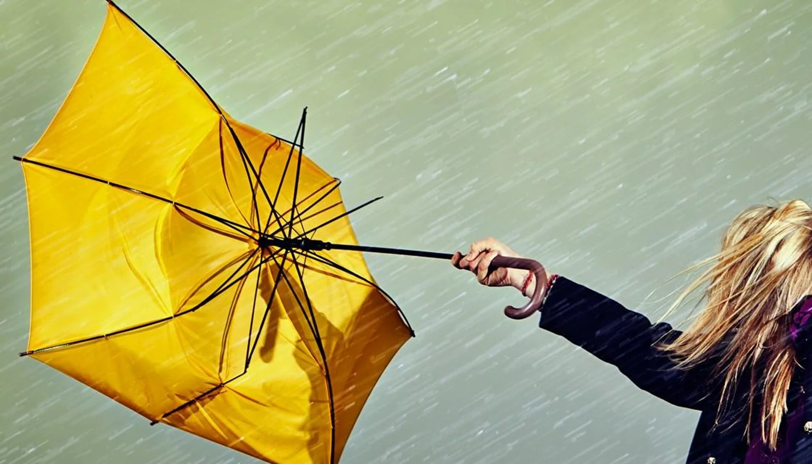 周末又有狂风暴雨，新西兰将迎典型天气