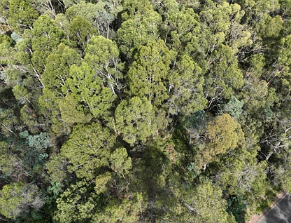 Part of 190 Porters Bridge Road, Exton, Launceston and North East, 0 Kuwarto, 0 Banyo, Lifestyle Property
