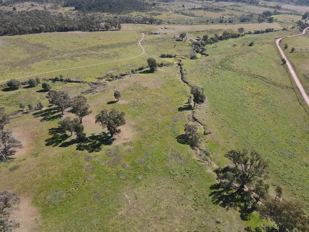 Gooloogong  1000 Acres of grazing and lifestyle