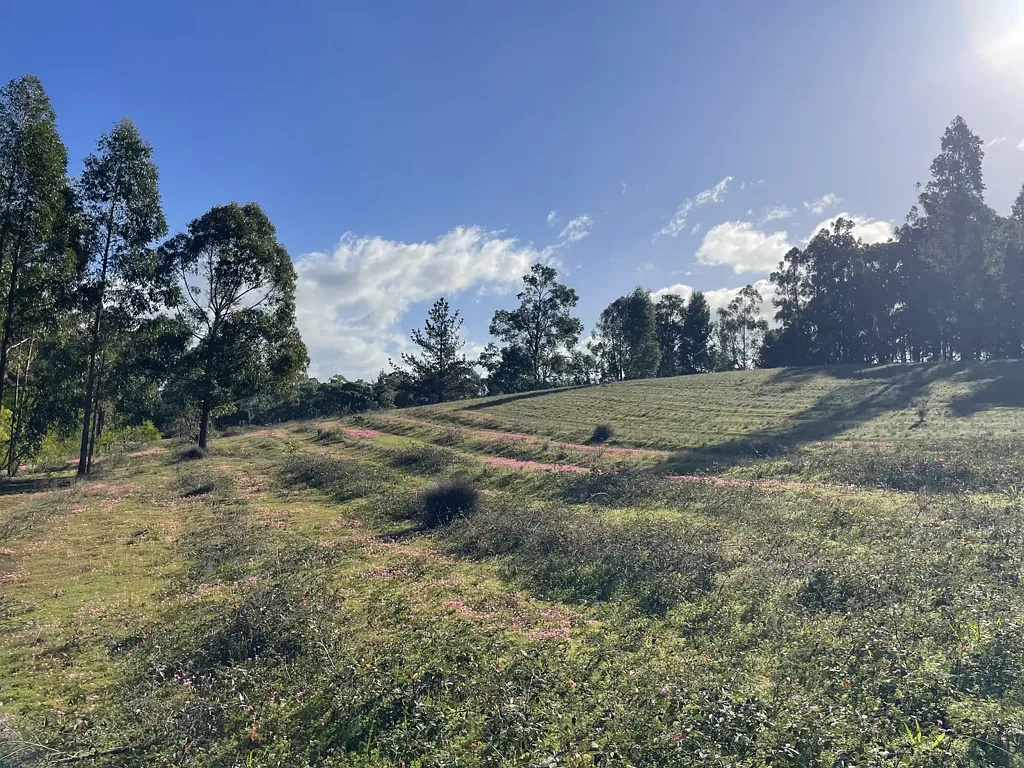 Bridgetown Don't Miss Out  - Only 1 Lot Remaining!