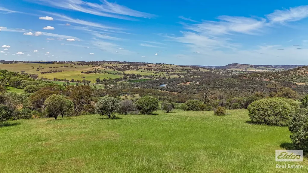 131 Nockdominie Road, Dumbarton, WA 6566