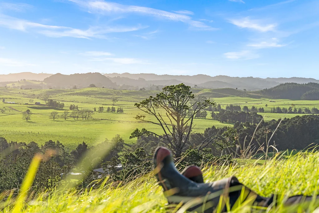 Whareora Build Your Way, Lifestyle Starts Here