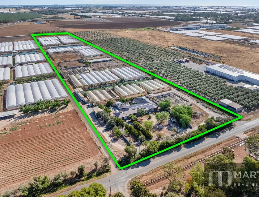 460 Womma West Road, Penfield Gardens, Northern Adelaide, 6 침실, 3 욕실, Lifestyle Property