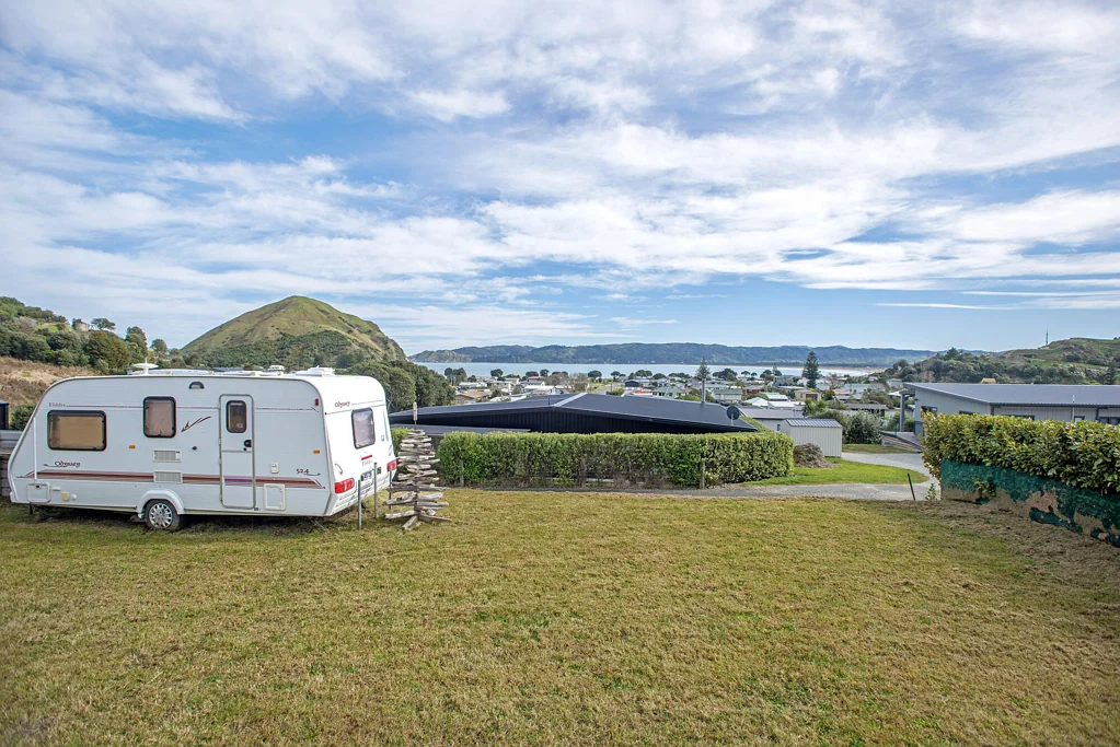 Mahia  A head start at Māhia Beach
