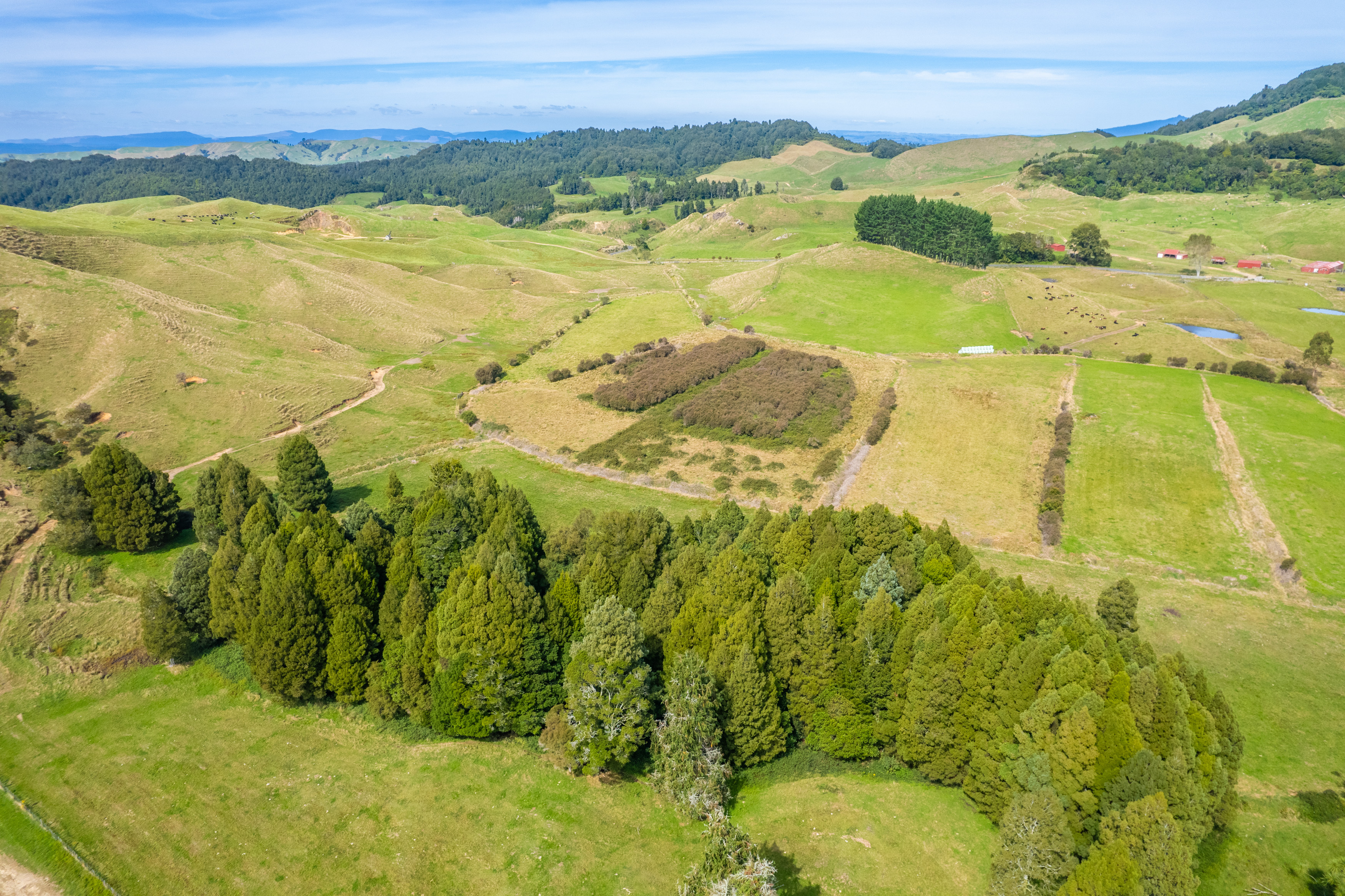 Wairehi Road, Wharepuhunga, Otorohanga, 0部屋, 1バスルーム, Grazing