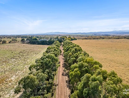 155 Belle Vue Road, Epping Forest, Launceston and North East, 3 chambres, 2 salles de bain, Lifestyle Property