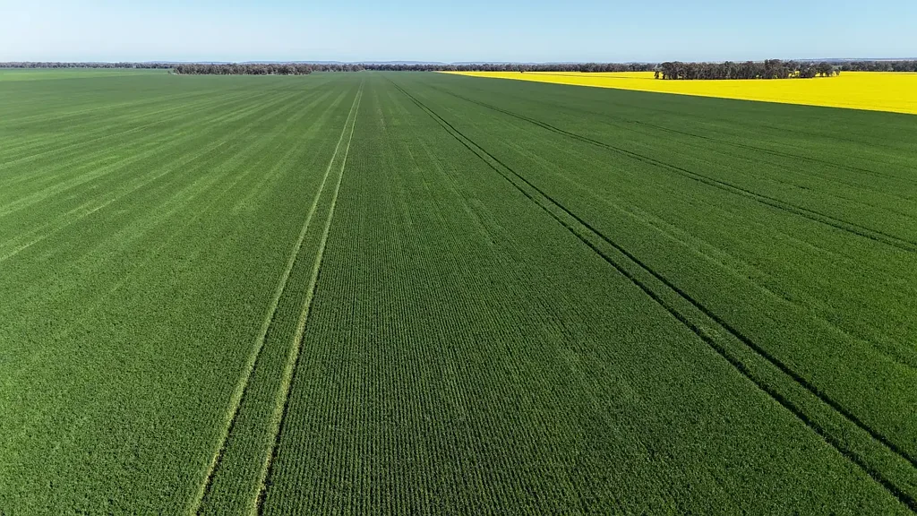 Parkes Best of Broadacre Farming with Scale - Crops are Negotiable