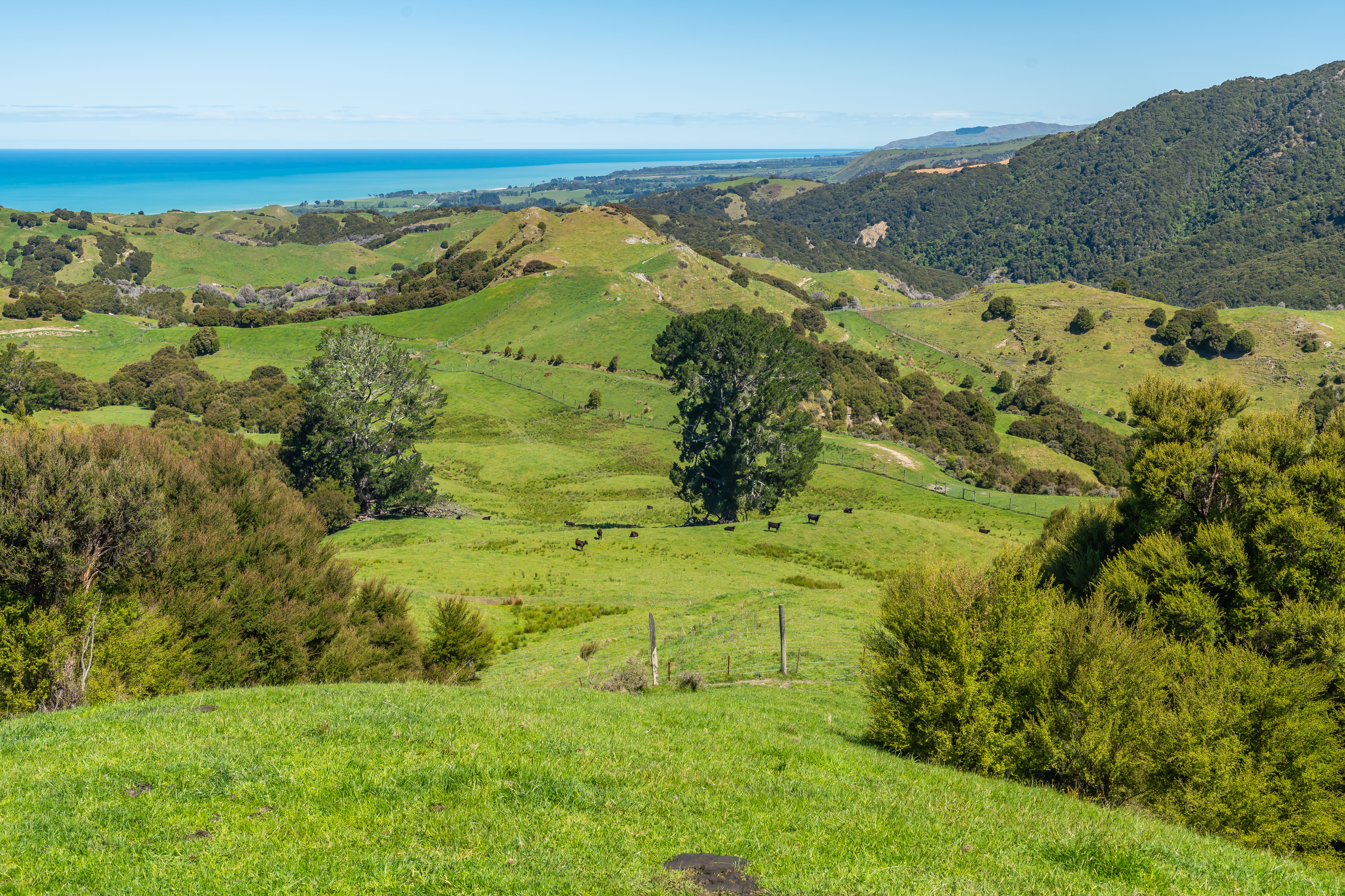 600 Hundalee Road, Hundalee, Hurunui, 0 Bedrooms, 0 Bathrooms, Specialist Livestock