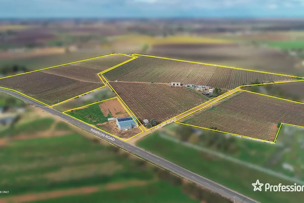 Cardross 42 Acre Table Grape Property & Packing Shed