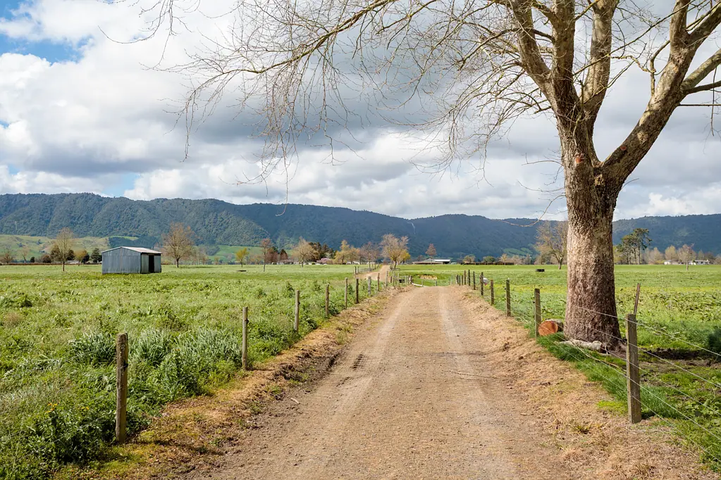 Matamata 59.3 Hectares - two titles - buy one or buy both