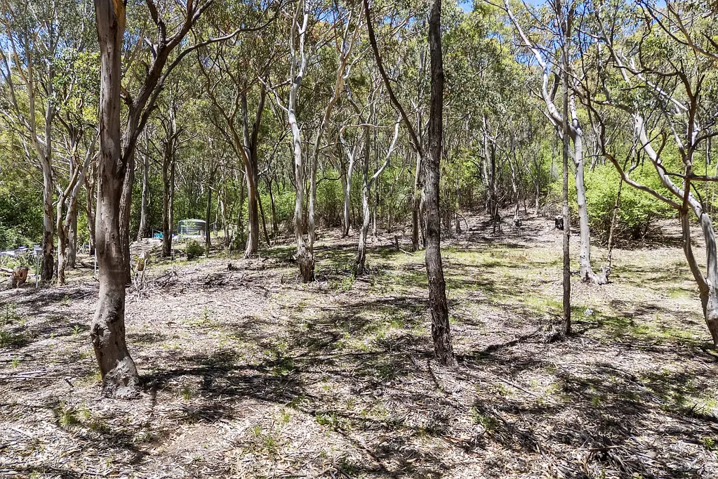 34 Mountain Street, Charbon, NSW 2848