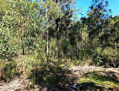 Lot 2745 Gunnedah Street, North Arm Cove, Hunter, 0 phòng ngủ, 0 phòng tắm, Section
