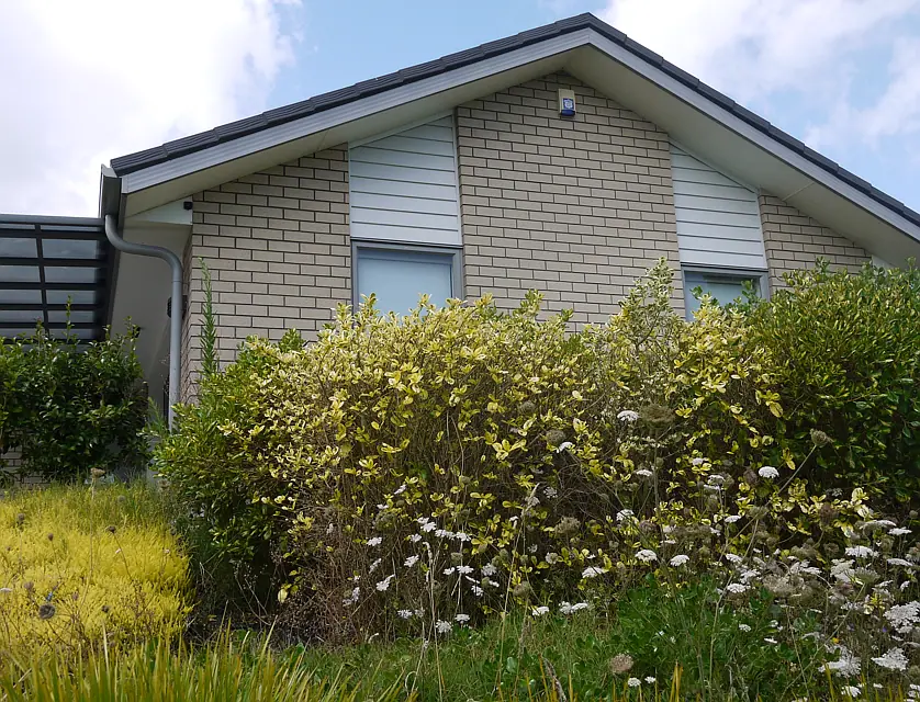 31E Helenvale Crescent, Pokeno, Franklin, 4 phòng ngủ, 2 phòng tắm, House