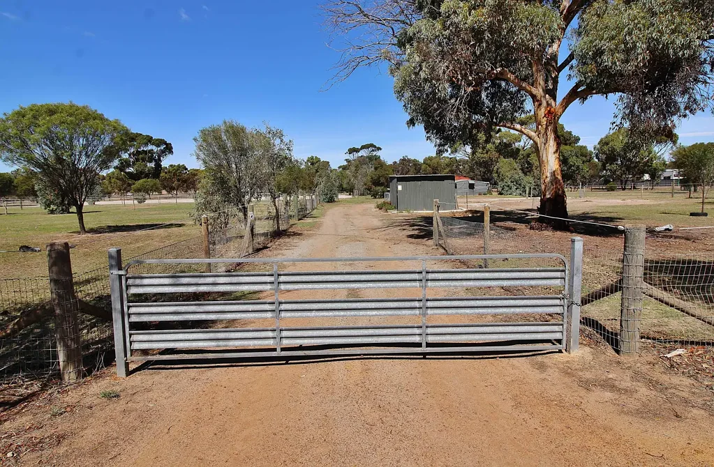 Wagin  Rare Diamond