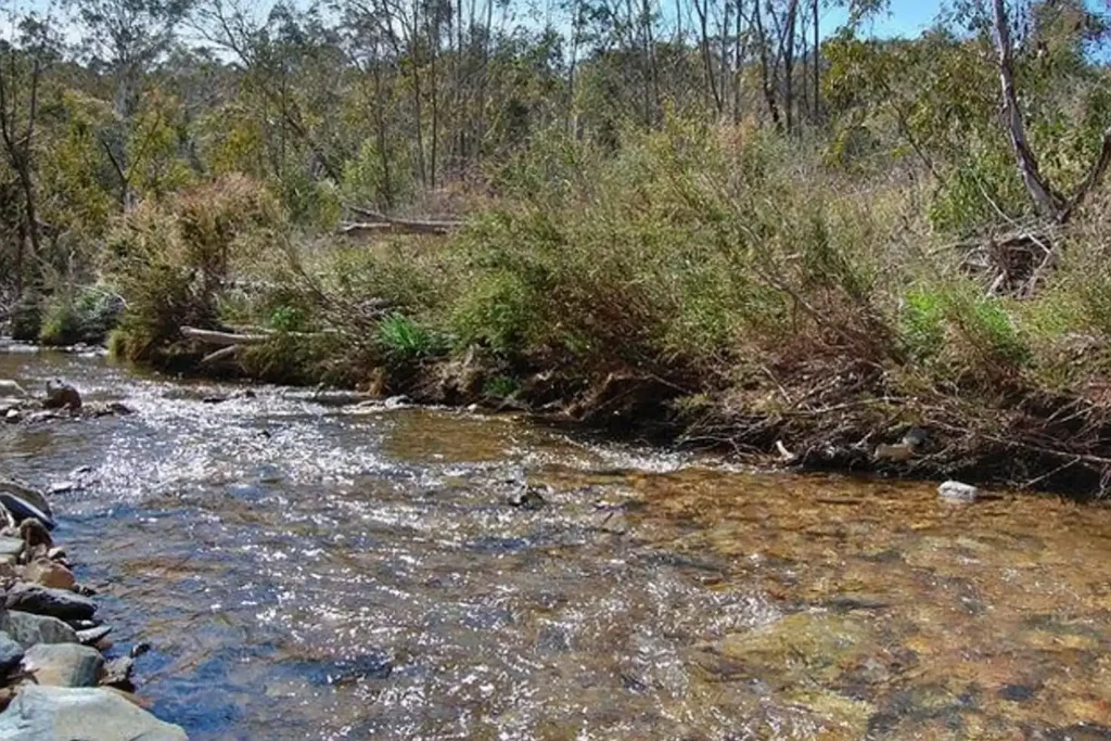 Wee Jasper Escape to 82ha of Pristine Wilderness on Canberra's Doorstep