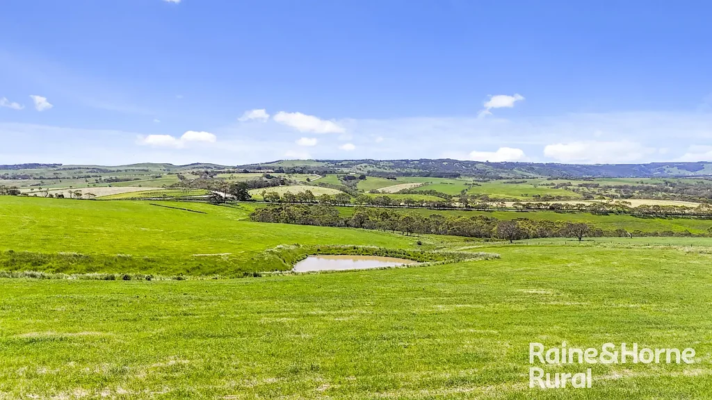 Inman Valley 'Nosworthy' - Premium Breeding & Backgrounding Opportunity on 2 titles of 538-acres.