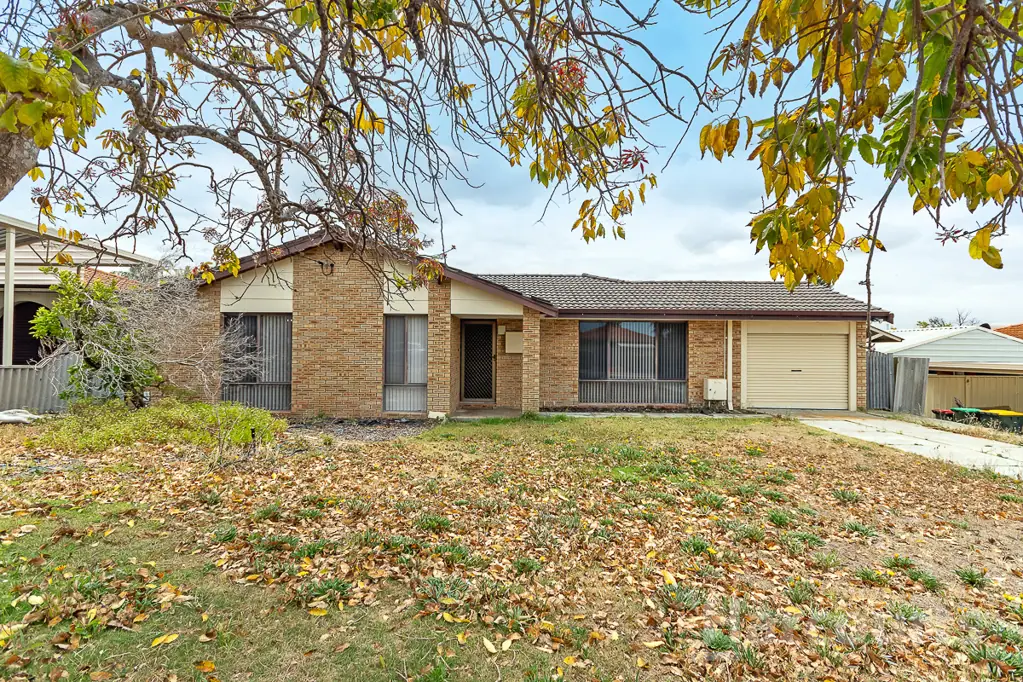 16 Deyoung Road, Craigie, WA 6025