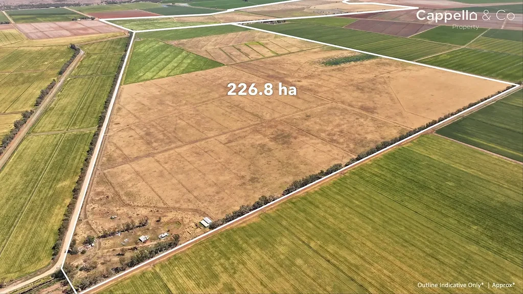 Warrawidgee  CHITTICK ROAD HOLDINGS - OFFERED AS A WHOLE OR SEPARATELY