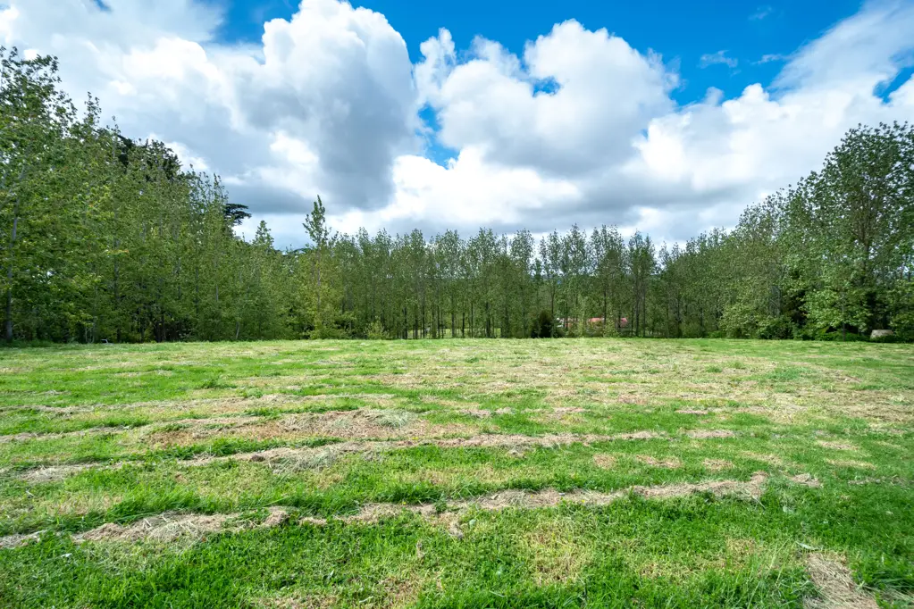 Kumeu Beautiful, North Facing, Kumeu Lifestyle living