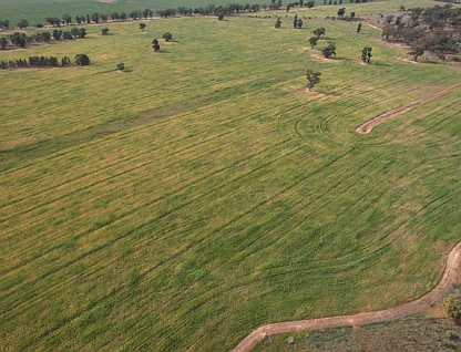 'Kaisar Hill' Fitzgerald Road, West Wyalong, Riverina, 0 Bedrooms, 0 Bathrooms, Lifestyle Property
