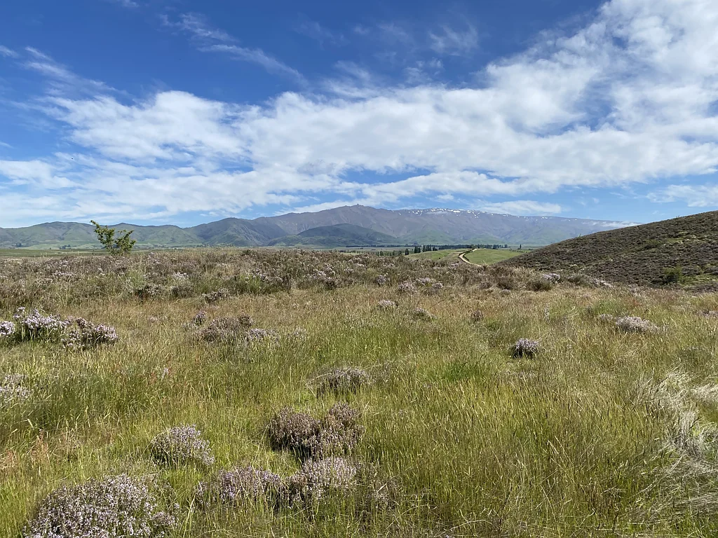 Alexandra Lifestyle - With Your Weekends Free!