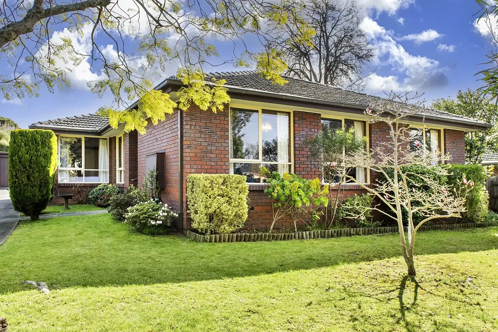 Blackburn South 3房 一处迷人的单层住宅，空间充裕，令人难以抗拒 An irresistible single-level charmer that has space in abundance