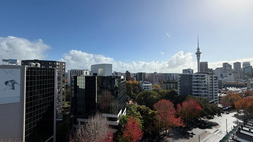 Auckland Central 1房  Leasehold Money Maker!