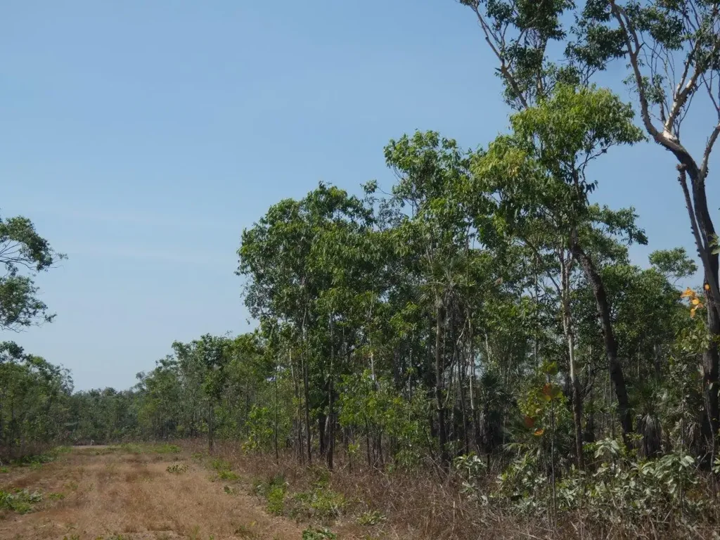 LOT 2810/116 Mielang Road, Blackmore, NT 822