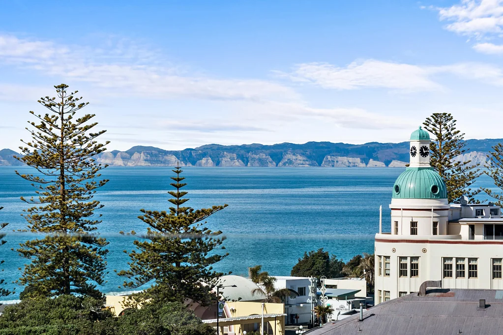 Napier South 5બેડરૂમ Income - City Centre - All the Views