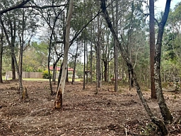 27 Arthur Street, Macleay Island