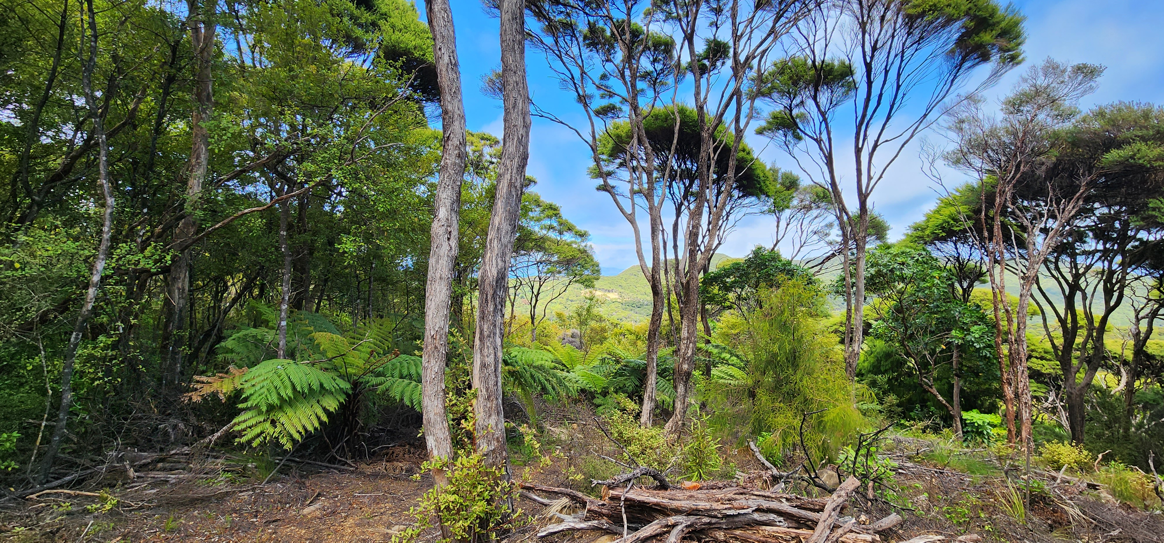 69 Cape Barrier Road, Great Barrier Island (Aotea Island), Auckland, 0 habitaciones, 0 baños, Lifestyle Section