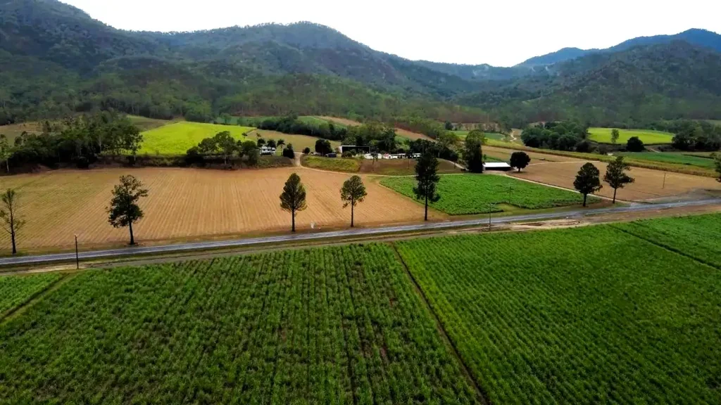 Finch Hatton Finch Hatton Cane Farm