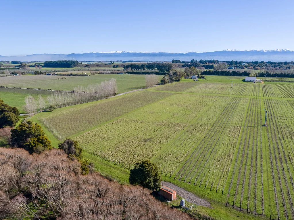 Carterton  Build amongst the vines
