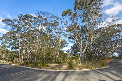 52 Forest Park Road West, Blackheath, NSW 2785, 0 slaapkamers, 0 badkamers, Section
