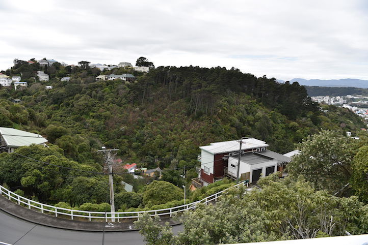 140 Raroa Road, Aro Valley, Wellington, 8 રૂમ, 0 બાથરૂમ